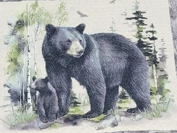 Bear Family Panel